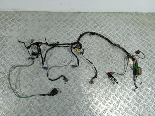 проводка двигателя Citroen Xantia 1 поколение (1992 - 1998), 1.9 л., SDi, DHW (XUD9SD), дизель