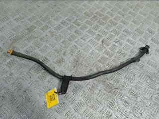 щуп двигателя Renault Vel Satis 1 поколение (2002 - 2005), 3.0 л., DCi, P9X 701, дизель, АКПП