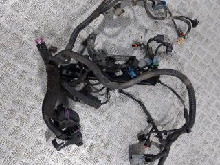 проводка двигателя Chevrolet Cruze 1 поколение (2009 - 2012), 1.6 л., i, F16D4, бензин