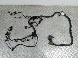 проводка двигателя Opel Vectra C [рестайлинг] (2005 - 2009), 1.9 л., CDTi, Z 19 DT, дизель