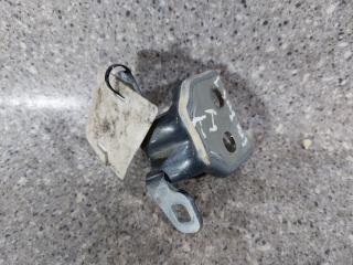 петля двери Dacia Sandero 2 поколение [рестайлинг] (2017 - 2025)