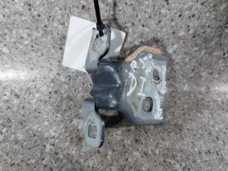 петля двери Dacia Sandero 2 поколение [рестайлинг] (2017 - 2025)