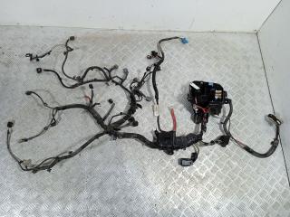 проводка двигателя Renault Sandero 2 поколение (2013 - 2018), 0.9 л., TCE, H4B 408, бензин, 240115323R