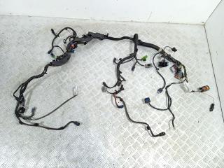 проводка двигателя Citroen C5 2 поколение (2008 - 2017), 2.0 л., HDi, RHR (10DYVQ), дизель, 9685581780