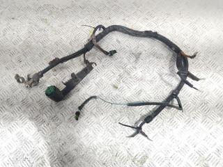 проводка двигателя Opel Vectra B (1995 - 1999), 1.6 л., i, X 16 XEL, бензин