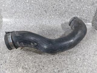 патрубок радиатора Opel Zafira 2 поколение (B) (2005 - 2008), 1.9 л., CDTi, Z 19 DT, дизель, МКПП, 55557038