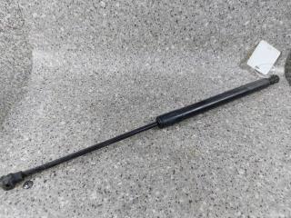 амортизатор крышки багажника (3-5 двери) Dacia Sandero 2 поколение [рестайлинг] (2017 - 2025), 904529943R