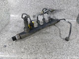 топливная рампа Opel Meriva 1 поколение (A) [рестайлинг] (2006 - 2010), 1.7 л., Z 17 DTR, дизель