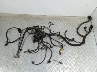 проводка двигателя Citroen Xantia 1 поколение (1992 - 1998), 1.8 л., i, LFZ (XU7JP), бензин, 9617844380, 96193204