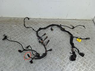 проводка двигателя Fiat Doblo 1 поколение [рестайлинг] (2005 - 2015), 1.3 л., JTD, 843A2000, дизель, 00552041310