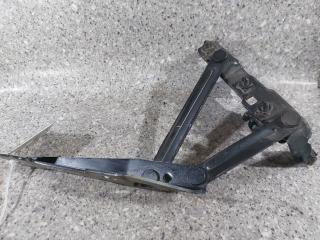 петля капота левая Opel Insignia 1 поколение (A) (2008 - 2014), 12841600