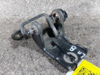 петля двери Opel Insignia 1 поколение (A) (2008 - 2014), хетчбэк 5 дв.