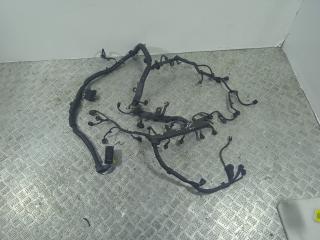 проводка двигателя Honda Accord 8 поколение (2007 - 2011), 2.2 л., i-DTEC, N22B1, дизель, МКПП