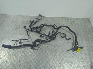 проводка двигателя Rover 75 1 поколение (1999 - 2004), 2.5 л., i, 25 K4F, бензин, МКПП, 1S001114, YSB0009