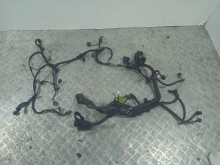 проводка двигателя Chevrolet Nubira 1 поколение (2003 - 2010), 2.0 л., VCDi, Z 20 S1, дизель, МКПП