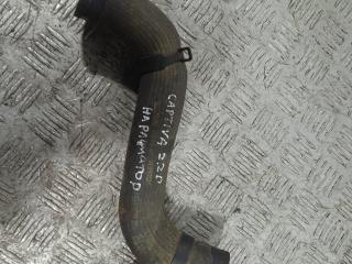 патрубок радиатора Chevrolet Captiva 1 поколение [рестайлинг] (2011 - 2013), 2.2 л., VCDi, Z 22 D1, дизель, АКПП, полный привод