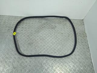 уплотнитель двери Mercedes-Benz S-Класс W221 (2005 - 2009), A2216970551