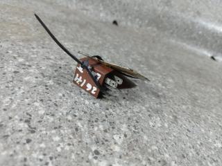 реле (прочие) Renault Laguna 2 поколение (2001 - 2005), 1.9 л., DCi, F9Q 750, дизель, МКПП, 8200263342, 29200041