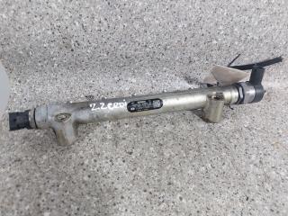 топливная рампа Hyundai Santa Fe 2 поколение (CM) (2005 - 2010), 2.2 л., CRDi, D4EB, дизель, МКПП, полный привод