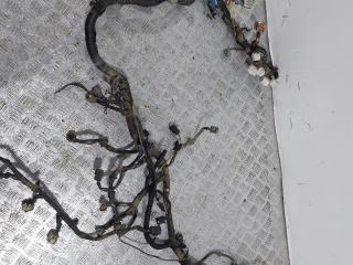 проводка двигателя Nissan Primera P12 (2001 - 2008), 2.2 л., DCi, YD22D, дизель, МКПП, 24011-AV070