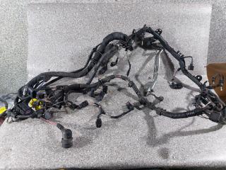 проводка двигателя Volkswagen Phaeton 1 поколение (2002 - 2008), 3.0 л., TDi, BMK, дизель, АКПП, полный привод, 3D1971610E