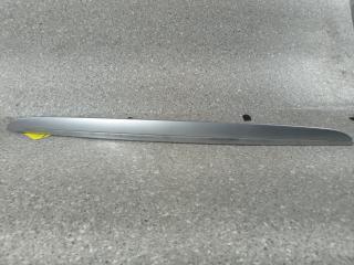 накладка подсветки номера Ford Galaxy 1 поколение [рестайлинг] (2000 - 2006)