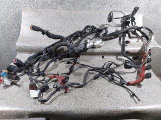 проводка двигателя Audi A8 D3/4E (2002 - 2005), 3.7 л., i, BFL, бензин, АКПП, полный привод, 4E1971713AG