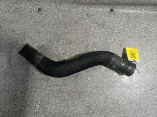 патрубок радиатора Dodge Nitro 1 поколение (2007 - 2010), 2.8 л., CRD, VM52C, дизель, АКПП, полный привод, 55637738AG