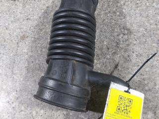 патрубок (трубопровод, шланг) Opel Vectra C [рестайлинг] (2005 - 2009), 3.0 л., CDTi, Z 30 DT, дизель, АКПП, 55556520