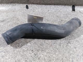 патрубок радиатора Nissan Almera Tino V10 [рестайлинг] (2003 - 2006), 2.2 л., DCi, YD22DDTi, дизель, МКПП