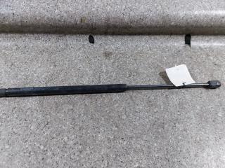 амортизатор крышки багажника (3-5 двери) Renault Scenic 2 поколение (2003 - 2006), 08510550