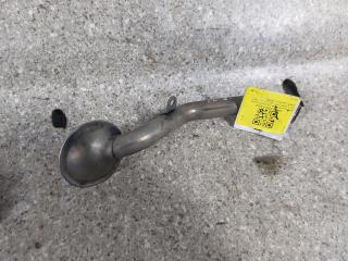 маслозаборник Hyundai Santa Fe 2 поколение (CM) (2005 - 2010), 2.2 л., CRDi, D4EB, дизель, МКПП, полный привод