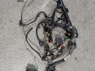 проводка двигателя Fiat Punto 2 поколение (1999 - 2003), 1.2 л., 188 A5.000, бензин, 5МКПП, 00551869940