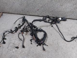 проводка двигателя Opel Zafira 2 поколение (B) (2005 - 2008), 1.9 л., CDTi, Z 19 DT, дизель, МКПП, 00552029760