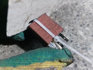 реле (прочие) Renault Laguna 2 поколение (2001 - 2005), 1.9 л., DCi, F9Q 750, дизель, 6МКПП, 8200263342, 29200041