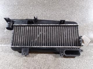 интеркулер Citroen Xsara 1 поколение (1997 - 2000), 1.9 л., TD, D8A (10CUG2), дизель, МКПП, 53077320