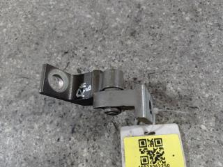 петля двери Skoda Superb 2 поколение [рестайлинг] (2013 - 2015), лифтбэк