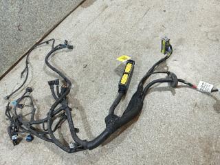 проводка двигателя Chevrolet Spark M300 (2009 - 2015), 1.0 л., i, B10D1, бензин, 5МКПП, 1393795, M300ENG