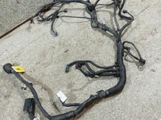 проводка двигателя Chevrolet Kalos 1 поколение (2003 - 2008), 1.4 л., F14S3, бензин, 5МКПП, T200ENG, 383E0-20