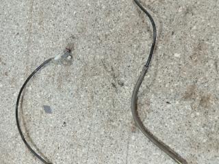 датчик ABS Toyota Yaris XP9 (2005 - 2009), 1.3 л., VVT-i, 2SZ-FE, бензин, 5МКПП, 895420D020