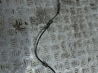 датчик ABS Nissan Tiida C11 (2004 - 2008), 0265007931, 47901-EL00A