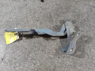 петля капота левая Chevrolet Cruze 1 поколение (2009 - 2012), 96932077