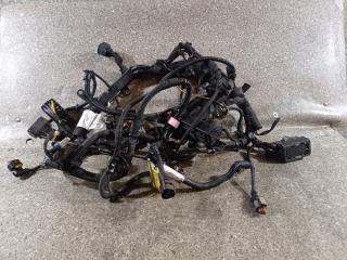 проводка двигателя Opel Insignia 1 поколение (A) (2008 - 2014), 2.0 л., CDTi, A 20 DTH, дизель, 6МКПП, передний привод, 13296039, 55571379