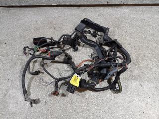 проводка двигателя Opel Zafira 1 поколение (A) [рестайлинг] (2003 - 2006), 2.0 л., DTi, Y 20 DTH, дизель, 5МКПП, 24450999