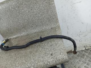 проводка двигателя Nissan Primera P12 (2001 - 2008), 1.6 л., i, QG16DE, бензин, 5МКПП