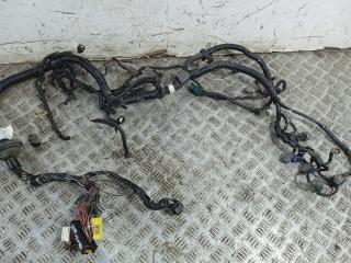 проводка двигателя Nissan Primera P12 (2001 - 2008), 1.6 л., i, QG16DE, бензин, 5МКПП, 24011-AV065