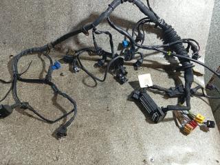 проводка двигателя Audi A6 4B/C5 (1997 - 2001), 2.8 л., i, ACK, бензин, 5МКПП, передний привод, 8D1971072