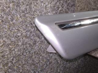 молдинг двери задней правой Mercedes-Benz E-Класс W210/S210 [рестайлинг] 2001