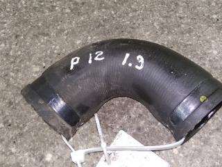 патрубок интеркулера Nissan Primera P12 2005