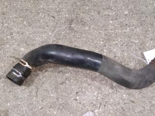 патрубок радиатора Renault Scenic 2 поколение [рестайлинг] 2008